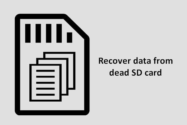 Recover Data From Dead SD Card With This Easy And Safe Way