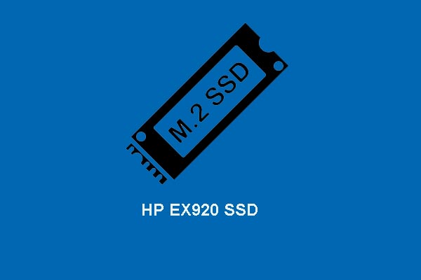 The Newest HP EX920 PCIe NVMe SSD Has Been Launched