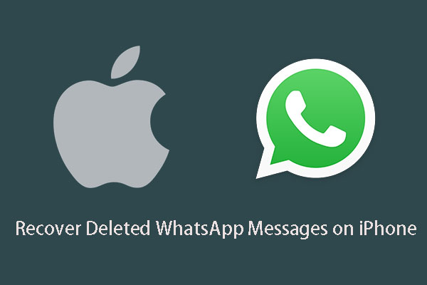 How To Recover Deleted WhatsApp Messages on iPhone [Best Way]