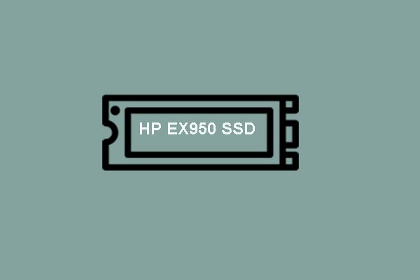 HP Has Released the EX950 M.2 NVMe SSD with Large Capacity