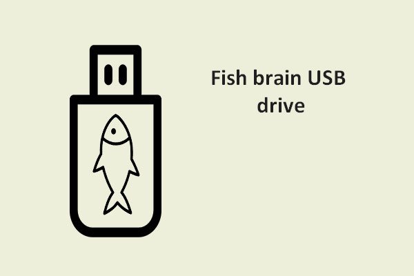 The Unusual Fish Brain USB Drive Is Developed By Japanese