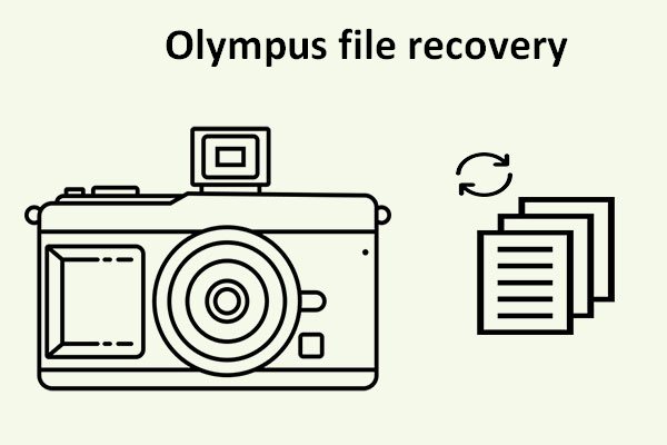 Follow This To Start Olympus File Recovery Without Any Delay
