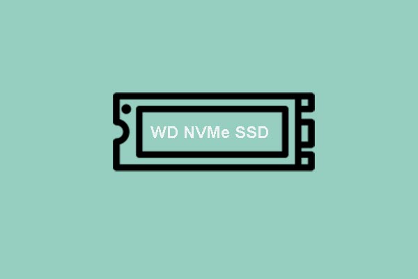 Western Digital Has Introduced Two New Enterprise NVMe SSDs