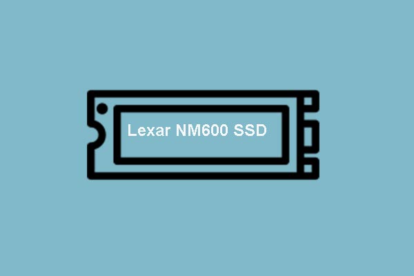 Lexar Has Announced the NVMe NM600 SSD with Low Cost