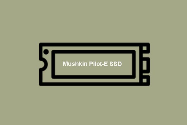 Mushkin Pilot Is Planning to Release New NVMe SSD with Fast Speed