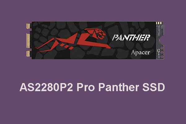 AS2280P2 Pro Panther SSD – a Drive with Color-Changing Heatsink