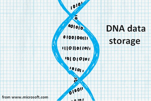 DNA Data Storage: Put Data Into A Single Nucleotide