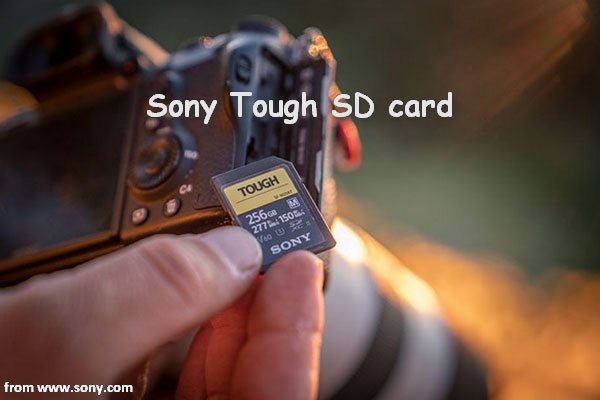 Sony Launches The New Tough SD Card & Multifunction USB Hub
