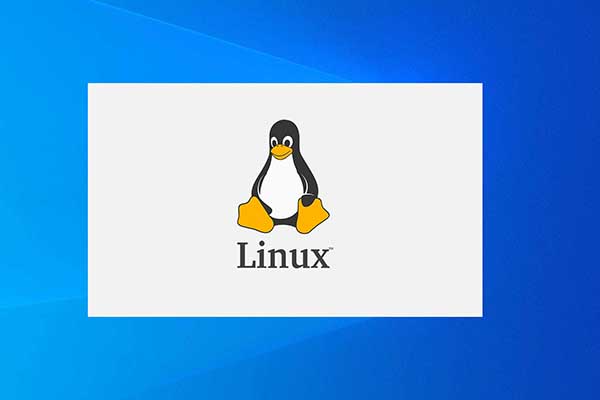 What Is Linux and Its Main Functions & Application Areas