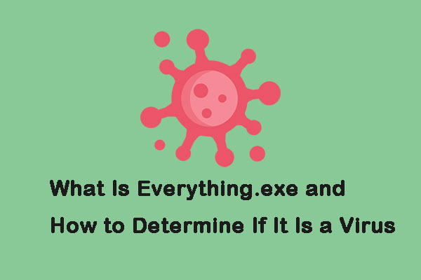 What Is Everything.exe and How to Determine If It Is a Virus