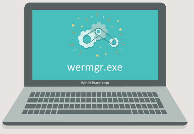 What Is Wermgr.exe and How to Fix High CPU Usage of It?