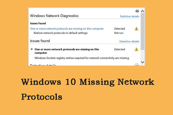 What to Do If You Encounter the Network Protocol Error