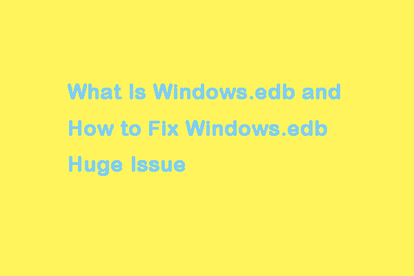 What Is Windows.edb and How to Fix Windows.edb Huge Issue