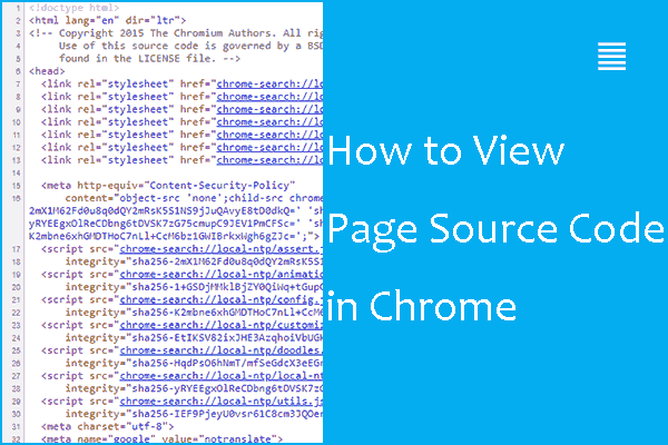 How to View Source Code in Chrome? (2 Methods)