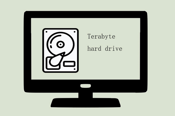 The Demands For Terabyte Hard Drive Are Increasing Nowadays