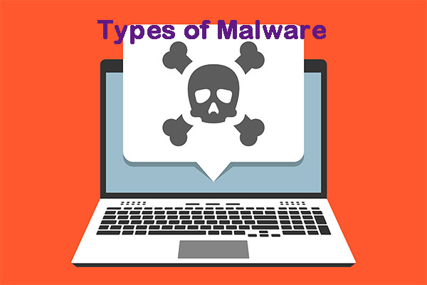 The Different Types of Malware and Useful Tips to Avoid Them