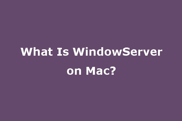 What Is WindowServer on Mac & How to Fix WindowServer High CPU