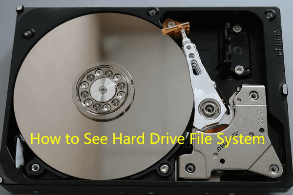 How to See Drive’s File System on Windows 10 – 4 Ways