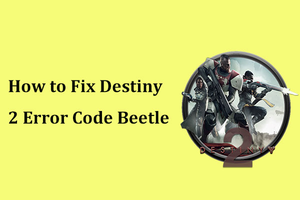 Get Destiny 2 Error Code Beetle? See a Guide to Know How to Fix!