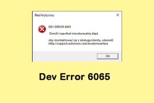 Solutions to Call of Duty Dev Error 6065 [Step by Step Guide]