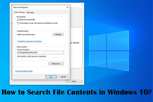 Windows 10 Search File Contents | How to Enable and Use It?