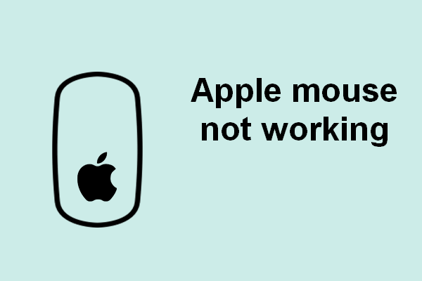 Your Apple Mouse Is Not Working? 12 Fixes To Troubleshoot