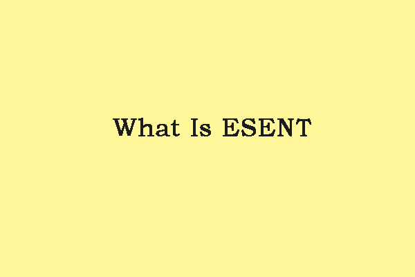 What Is ESENT in Event Viewer and How to Fix the ESENT Error?