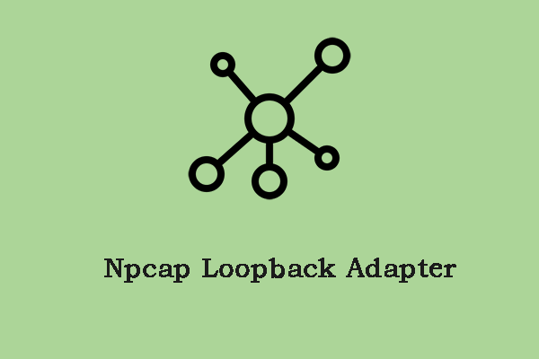 How to Fix the Npcap Loopback Adapter Issue on Windows 10?