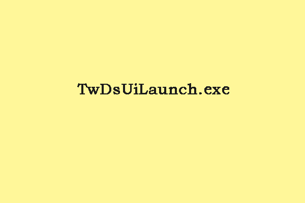 What Is TwDsUiLaunch.exe and Should You Delete It?