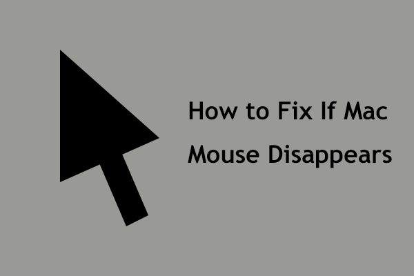 What to Do If Your Mouse Disappears on Mac? Try Some Ways!