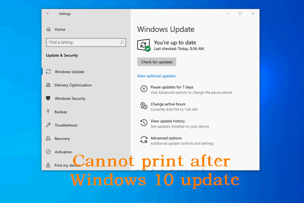 Cannot Print After Windows 10 Update: 6 Ways To Fix It