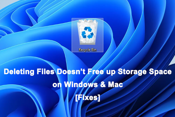 Deleting Files Doesn’t Free up Storage Space on PC & Mac [FIXED]