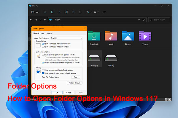 How to Open Folder Options in Windows 11?