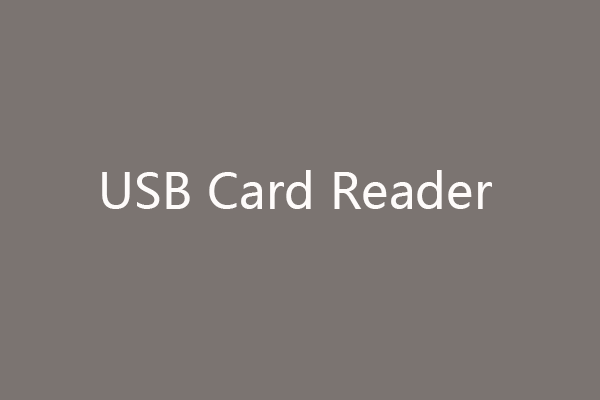 Best USB Card/Memory Card Readers for Windows 11/10