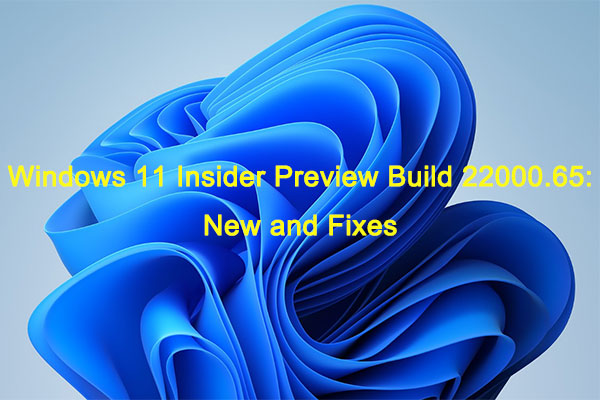 Windows 11 Build 22000.65 Rolls out to Insiders: New and Fixes
