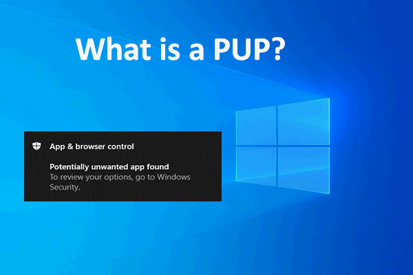 What Is A PUP? How Can You Block It On Windows 10