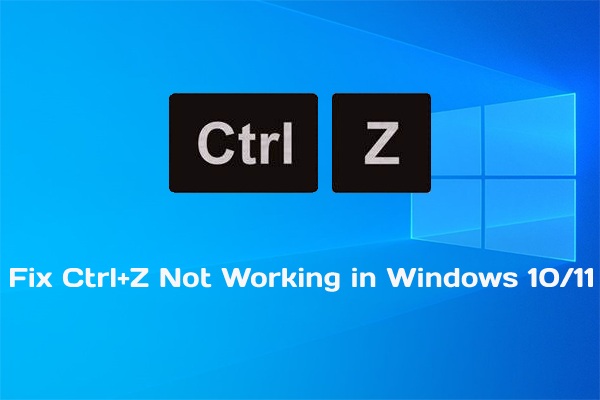 Ctrl+Z Not Working in Windows 11/10? How to Fix It?