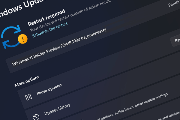 Windows 11 Build 22449 Rolls Out to the Dev Channel