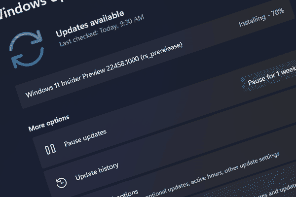Windows 11 Build 22458 Rolls out to Dev with a New Tips App