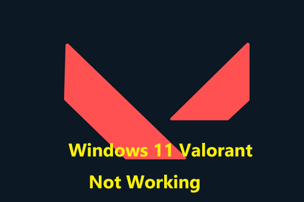 Windows 11 Valorant Not Working on PCs Without TPM 2.0
