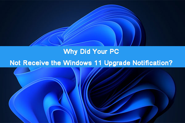 Why Did My Computer Not Receive Windows 11 Upgrade on Oct. 5?
