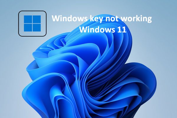 Why Your Windows Key Is Not Working Windows 11? How To Fix It