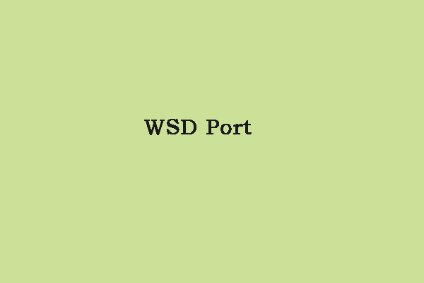 What Is the WSD Port and How to Set up & Connect It?