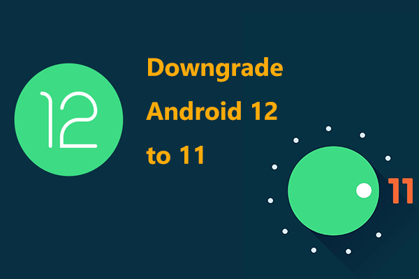 How to Downgrade Android 12 to 11 Without Losing Data (2 Ways)