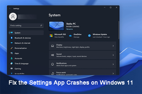 How to Fix: the Settings App Crashes on Windows 11