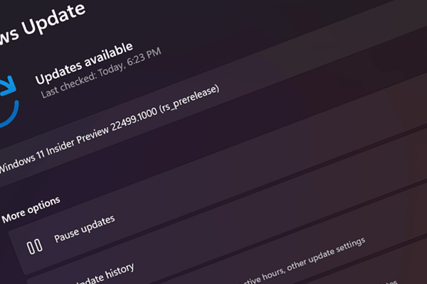 Windows 11 Build 22499 Rolls out to Insiders in the Dev Channel