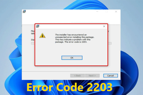How to Fix Error Code 2203 in Win10/11 When Installing a Program