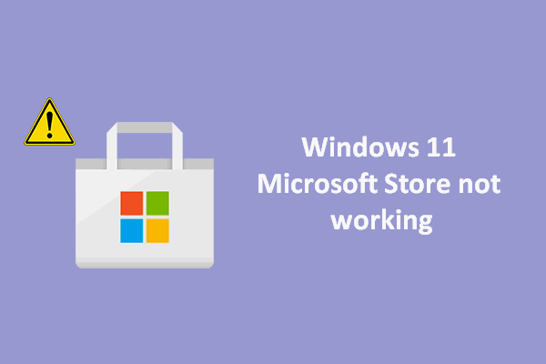 Top 6 Ways To Fix Microsoft Store Not Working On Windows 11