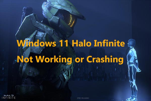 Fixes – Windows 11 Halo Infinite Not Working or Crashing on PC