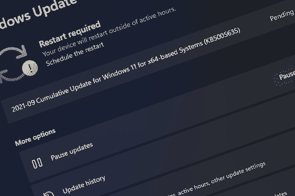 Windows 11 Build 22000.466 to Beta & Release Preview Channels